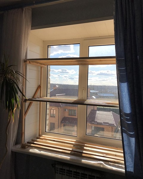 Gotowy regał na rozsady, ustawiony na parapecie, z młodymi sadzonkami.