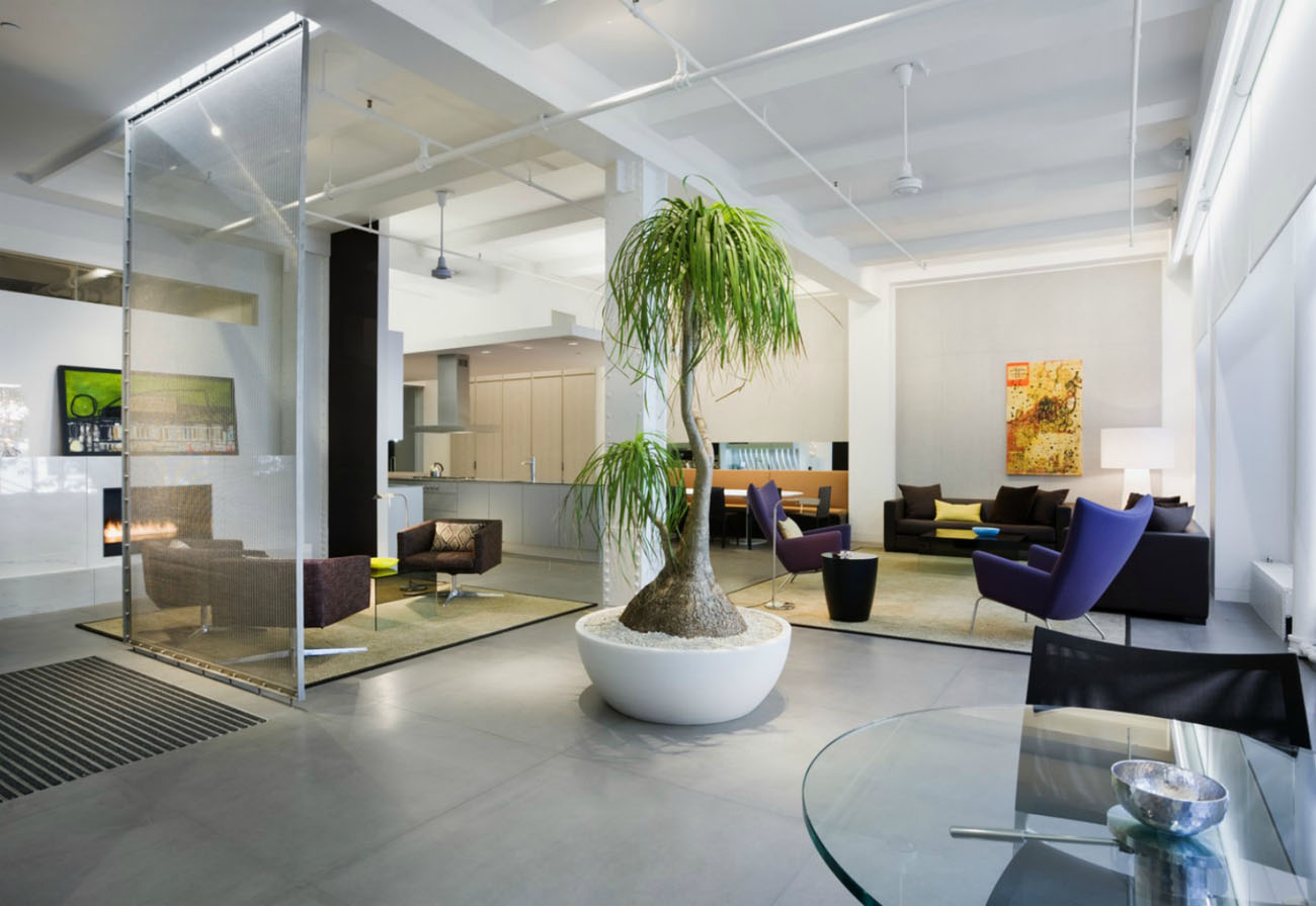 Sansewieria w nowoczesnym wnętrzu. Roślina oczyszczająca powietrze, łatwa w uprawie w domu.