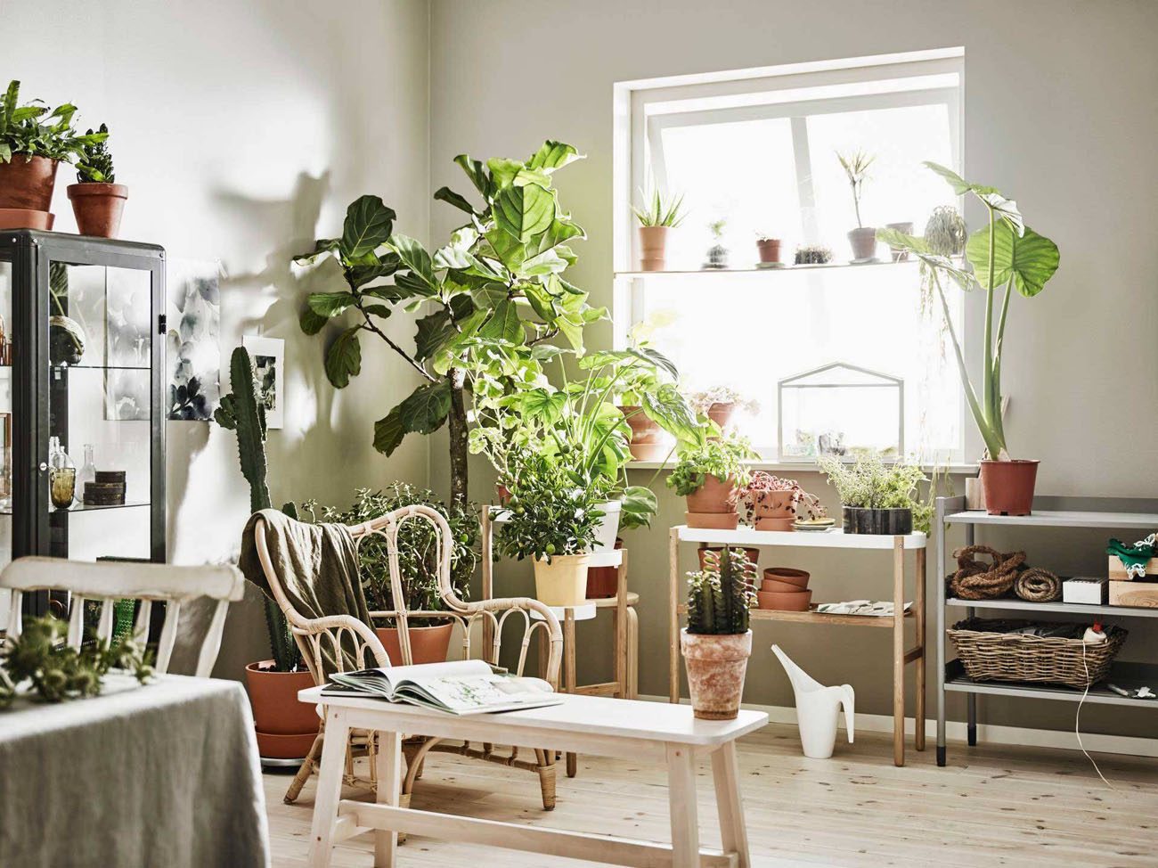 Półka z różnorodnymi roślinami doniczkowymi w salonie, ozdobny element wystroju wnętrza.