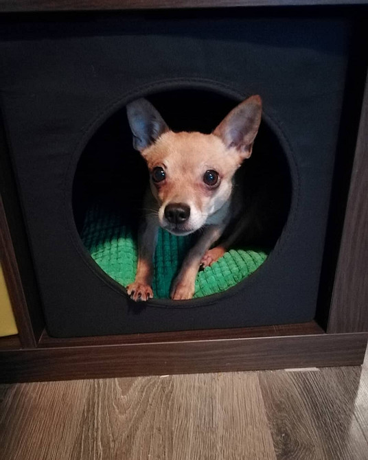 Pomysł na wykorzystanie półek IKEA: minimalistyczny regał w nowoczesnym salonie 2026