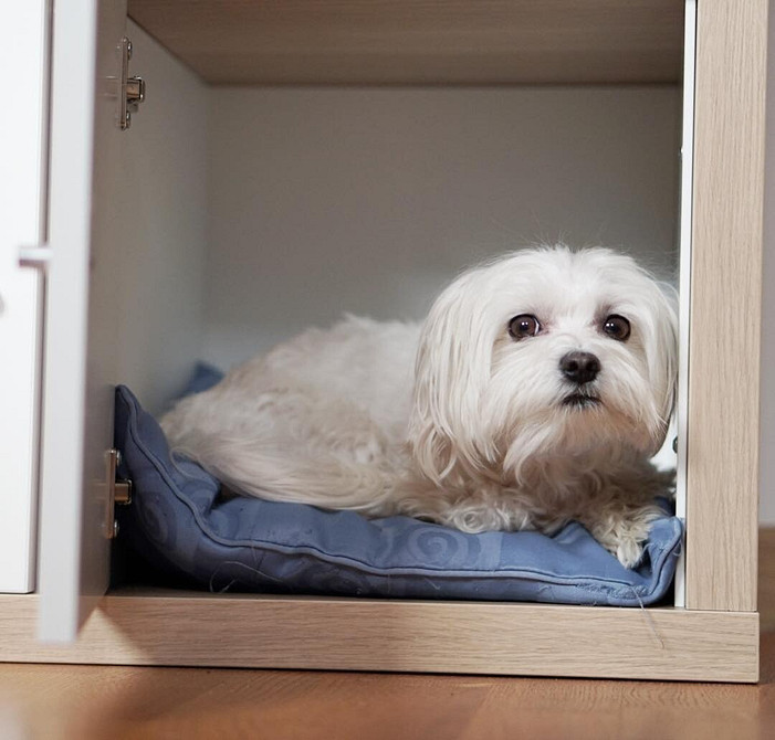 Kreatywne przechowywanie IKEA: półki i kosze w garderobie w małym mieszkaniu 2026