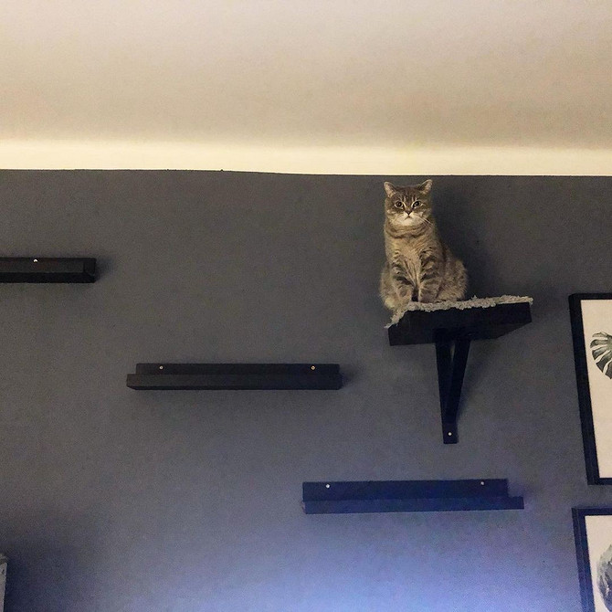 Wąskie półki IKEA w aranżacji wnętrza: idealne miejsce na książki i rośliny.