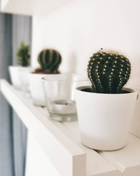 Kilka wąskich półek IKEA na ścianie: stylowy wygląd i organizacja przestrzeni.