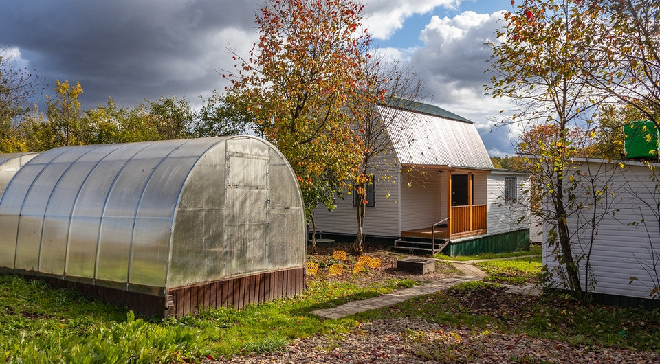 Przygotowanie działki do zimy: błędy, które prowadzą do zniszczeń wiosną. Konserwacja działki.