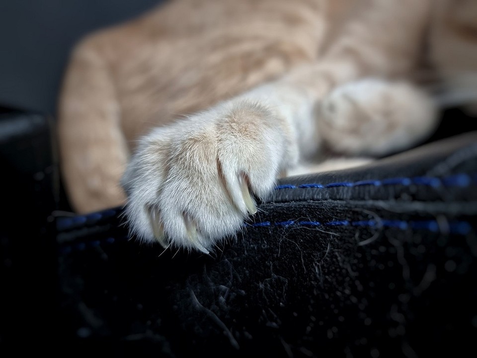 Materiały do renowacji Popularne tkaniny na kanapy: Przegląd materiałów do renowacji. Renowacja tapicerki kanapy.