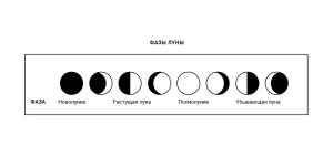 Kalendarz księżycowy ogrodnika 2026: Obfite plony dzięki fazom księżyca — kalendarz księżycowy ogrodnika 2026