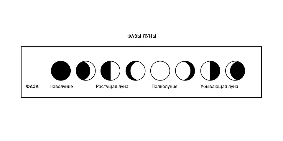 Kalendarz księżycowy ogrodnika 2026: Obfite plony dzięki fazom księżyca — kalendarz księżycowy ogrodnika 2026