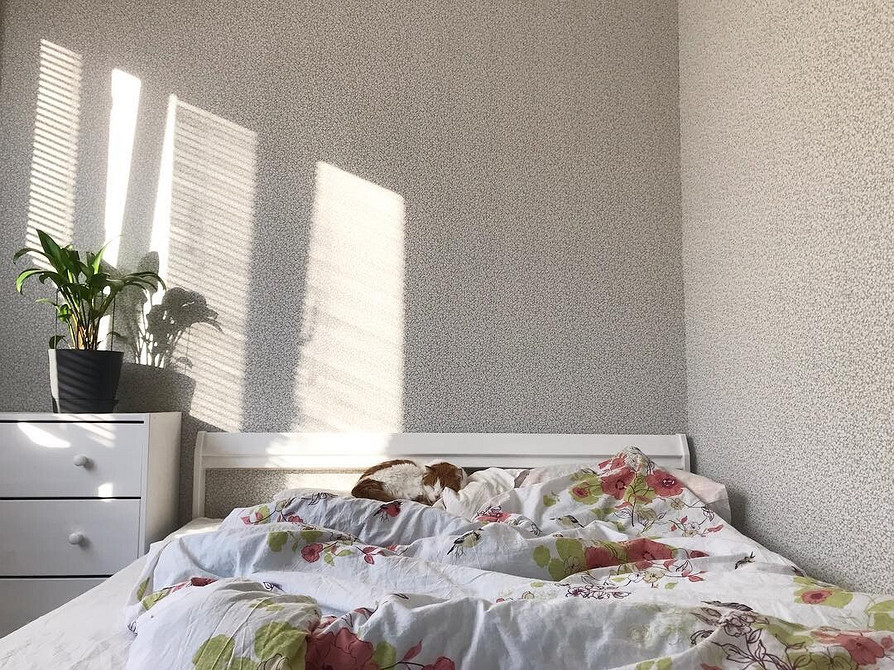 Budżetowe pomysły na dom z meblami IKEA: skandynawski design do 3000 zł.