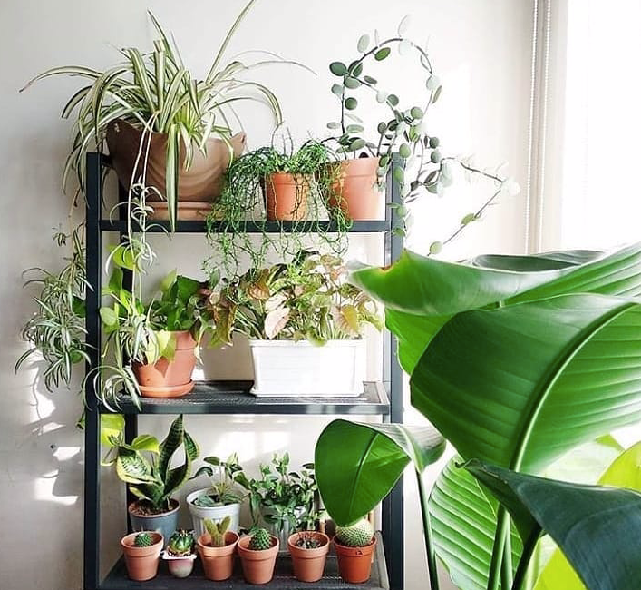 Stylowe meble IKEA do 3000 zł: idealne rozwiązanie dla Twojego małego mieszkania.