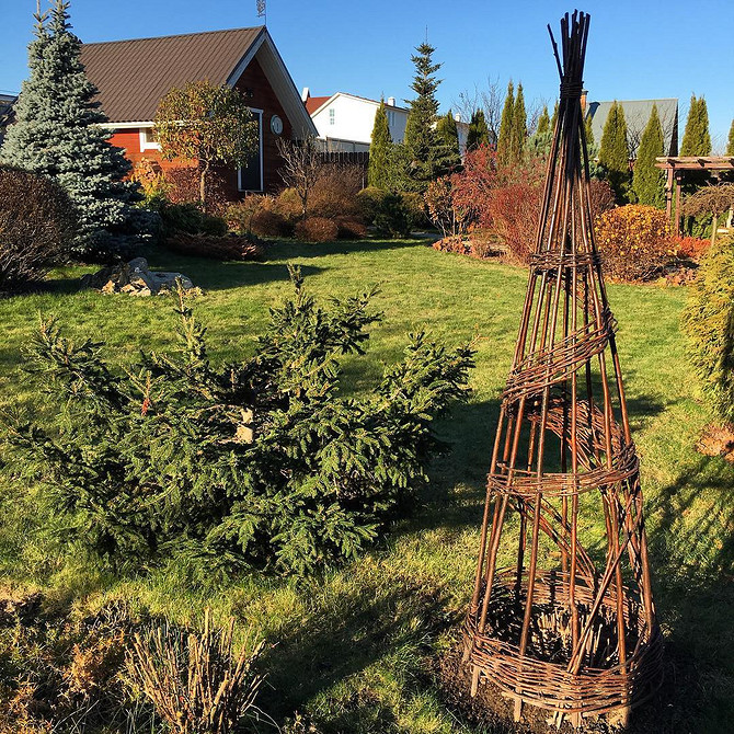 Drewniana podpora dla powojnika, porośnięta zielenią. Konstrukcje ogrodowe DIY.