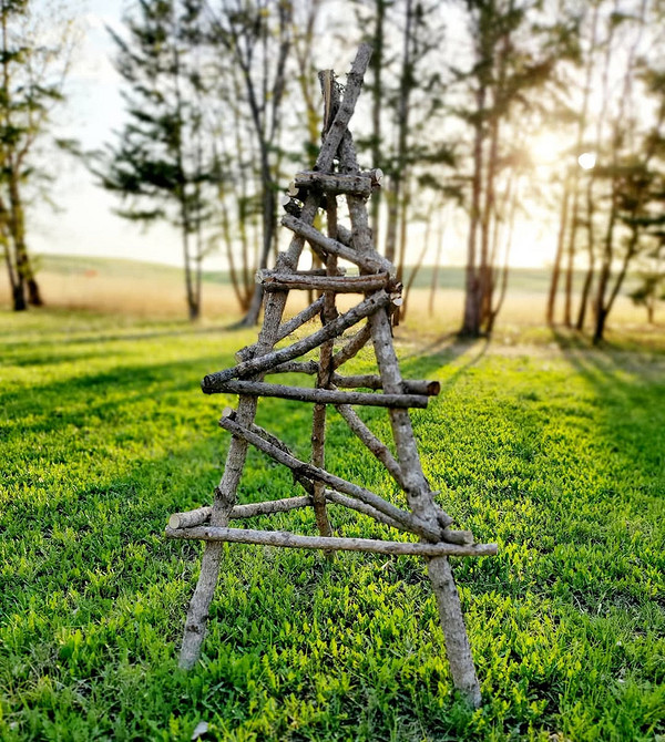 Podpora dla powojnika z gałęzi drzew, naturalny element w ogrodzie. DIY.