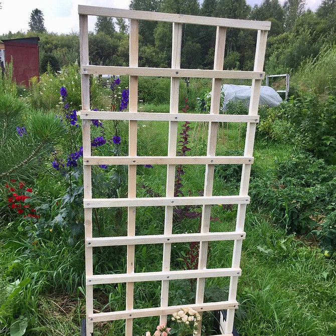 Metalowa, antykorozyjna  szpalera dla powojnika w ogrodzie.