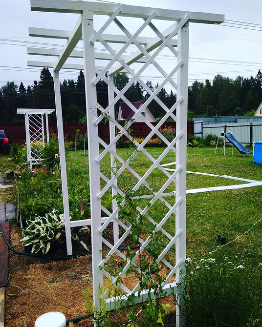 Drabina jako pergola Kreatywna pergola DIY dla klematisów ze starej drabiny: unikalny element ogrodu