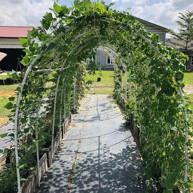 Rustykalna pergola DIY Pergola dla klematisów DIY z drewna i sznurka: rustykalny urok w ogrodzie