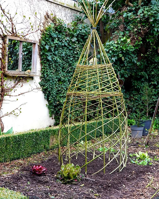 Metalowa podpora dla powojnika, nowoczesna konstrukcja ogrodowa dla pnączy.