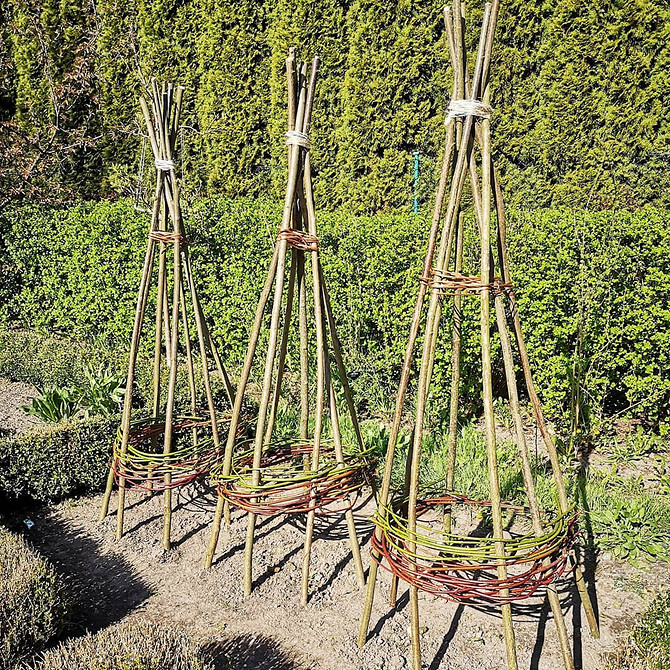 Pergola dla powojnika, porośnięta kwitnącymi roślinami. Inspiracje dla małego ogrodu.