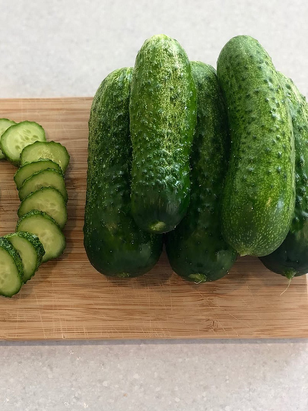 Wczesne ogórki w czerwcu! Wczesne ogórki w szklarni: uprawa, zbiory w czerwcu i odporność na choroby.