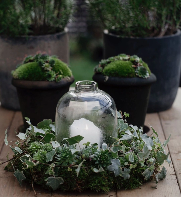 Igliwie w Wazonie Gałązki igliwia w wazonie tworzą przytulną świąteczną atmosferę. Dekoracje świąteczne 2026.