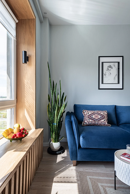 Niebieska sofa z poduszkami w różnych odcieniach niebieskiego w nowoczesnym salonie.