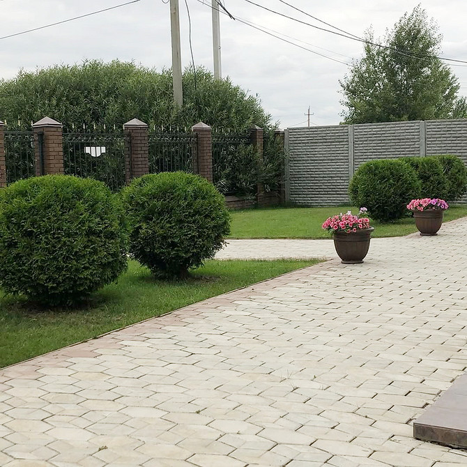 Aranżacja ogrodu z tujami: relaksujący zakątek do wypoczynku na świeżym powietrzu.