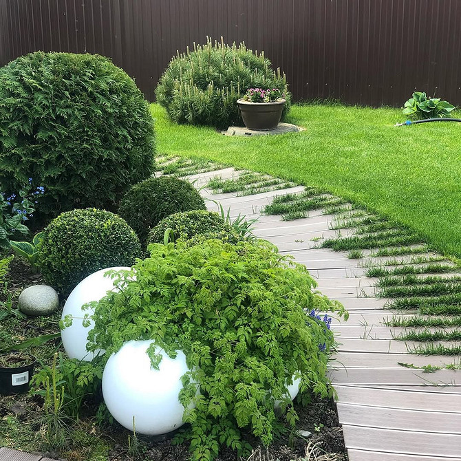 Tuja Szmaragd w ogrodzie: elegancki i zielony akcent w krajobrazie.