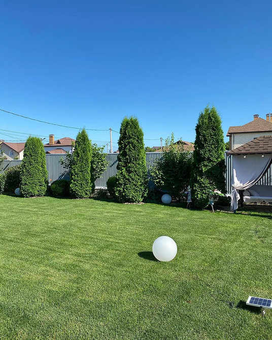 Tuja jako akcent w aranżacji krajobrazu: wyjątkowy element dekoracyjny ogrodu w 2026.