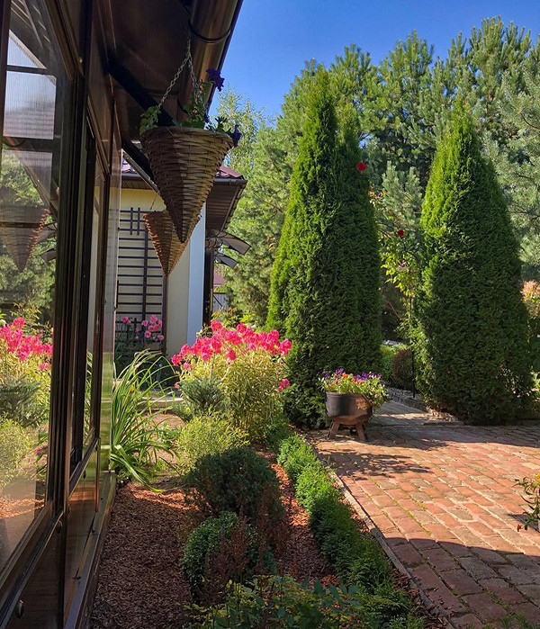 Tuja w aranżacji krajobrazu: stylowe rozwiązania dla nowoczesnego ogrodu. Inspiracje 2026.