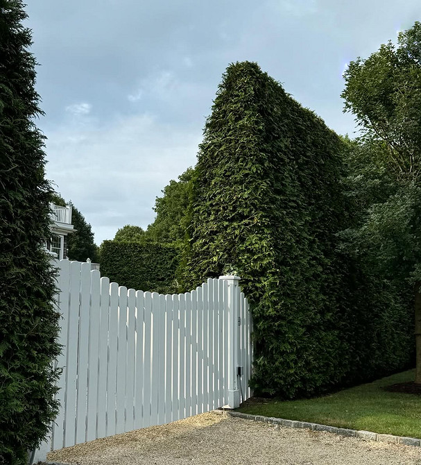 Tuja w aranżacji krajobrazu: inspiracje na kompozycje ogrodowe z tujami w 2026.