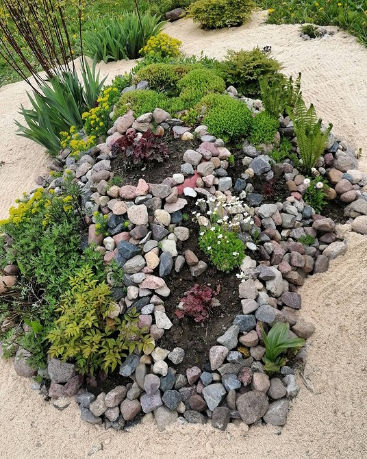 Sukulenty w ogrodzie Alpinarium z sukulentami i kamieniami – idealne rozwiązanie dla suchego ogrodu.