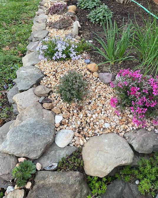 Głazy i rośliny Alpinarium z dużymi głazami i różnorodnymi kwitnącymi roślinami – bogactwo barw.