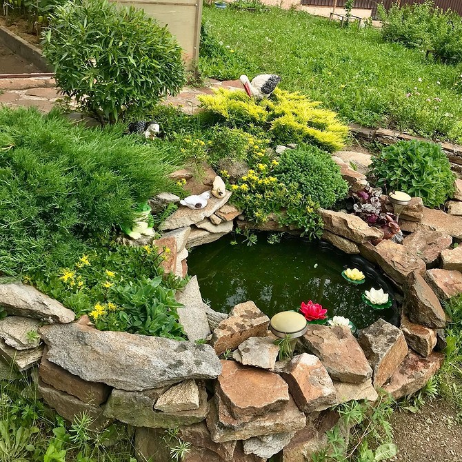 Mały ogród alpejski Alpinarium w małym ogrodzie z niskimi roślinami okrywowymi – oszczędność miejsca.