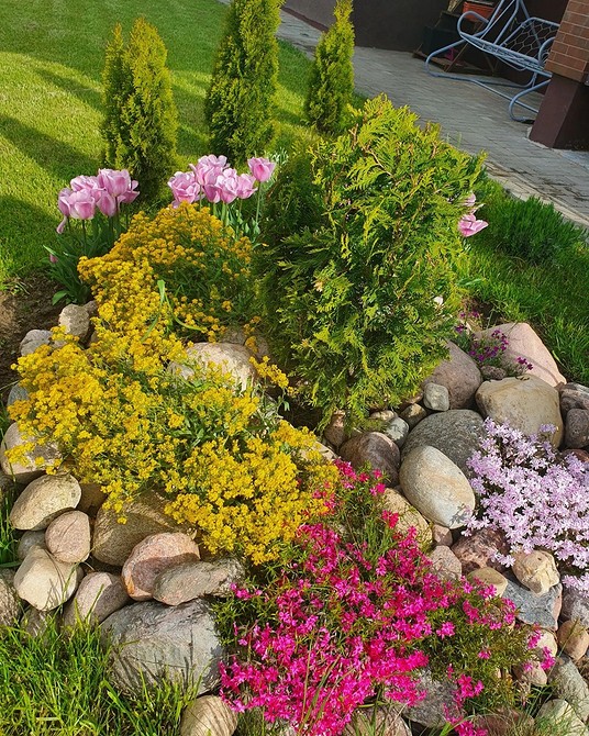 Alpinarium na balkonie Projekt alpinarium w małym ogrodzie z niskimi roślinami – idealny na balkon.