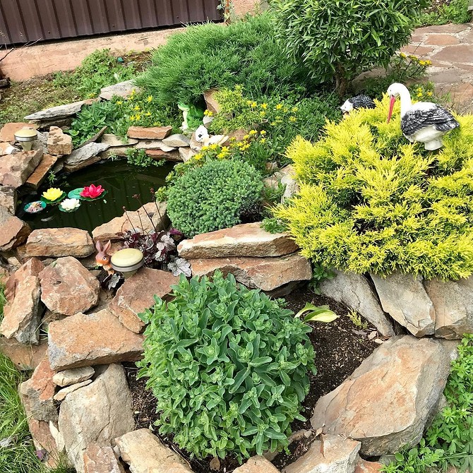 Kwitnący Alpinarium DIY Inspirujący Alpinarium z kamieniami dekoracyjnymi i kwitnącymi roślinami idealny do ogrodu.