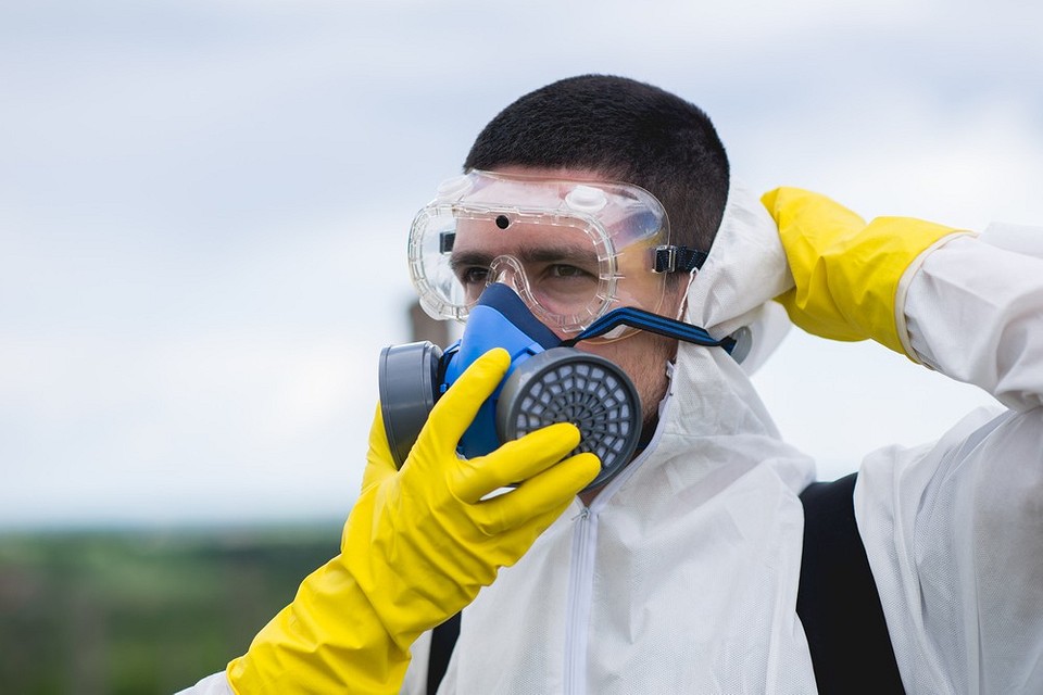 Jesienny schemat ochrony malin: ochrona przed szkodnikami, chorobami i przygotowanie do zimy 2027.