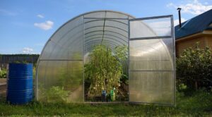 Szklarnia bez fitftorozy w 2026: Jesienne przygotowanie to podstawa — Przygotowanie szklarni do sezonu 2026