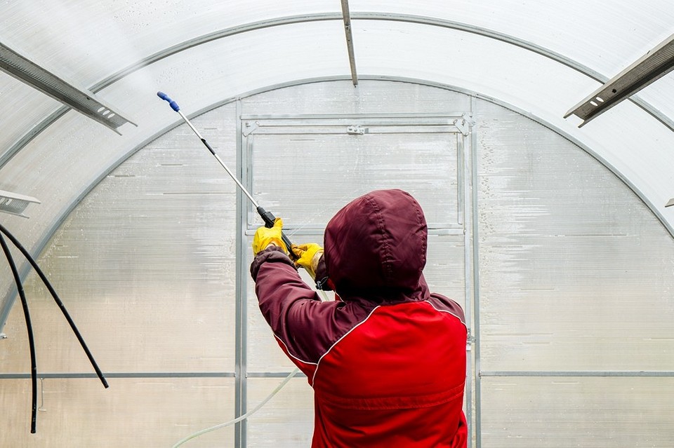 Jesienna dezynfekcja szklarni: eliminacja fytoftory i przygotowanie do sezonu upraw 2026