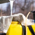 Przygotowanie gleby na zimę: 7 sposobów na dezynfekcję i poprawę jakości gleby.