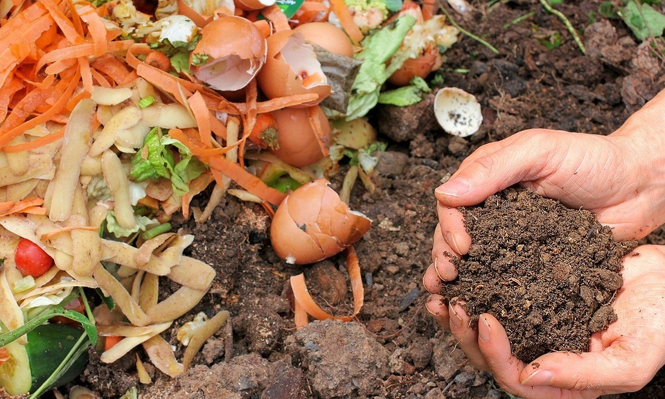 Sekrety fermentacji kompostu Stos odpadów organicznych w kompostowniku, przygotowywany do fermentacji w celu wzbogacenia gleby.
