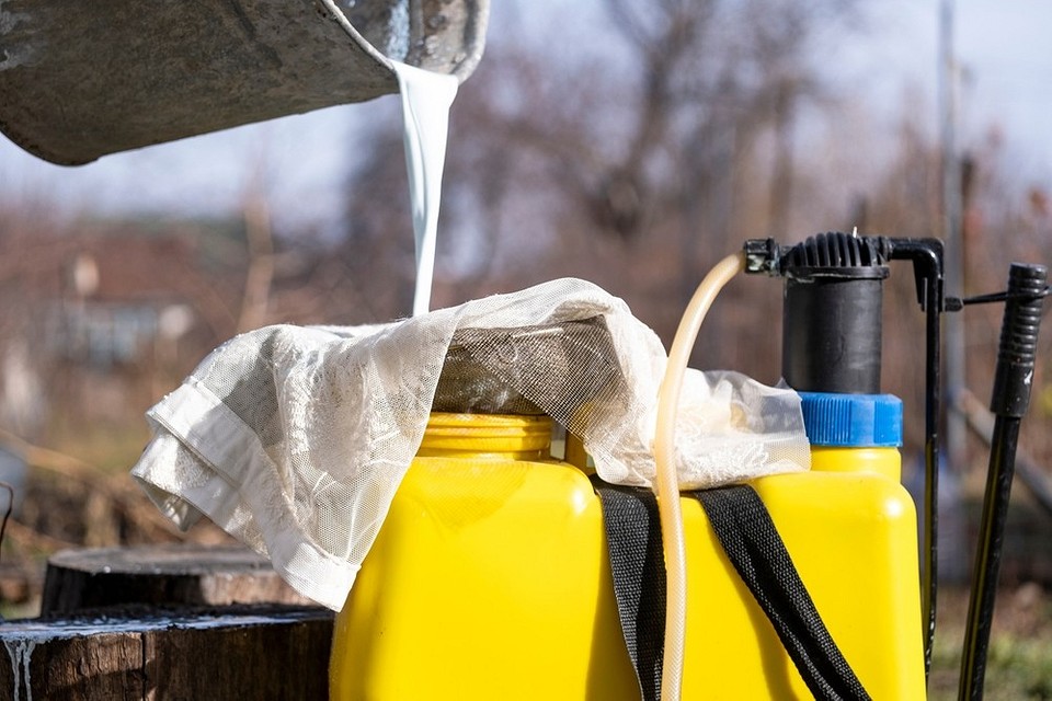 Ochrona sadu w 2026: opryskiwanie cieczą Bordoską przeciw grzybom i chorobom