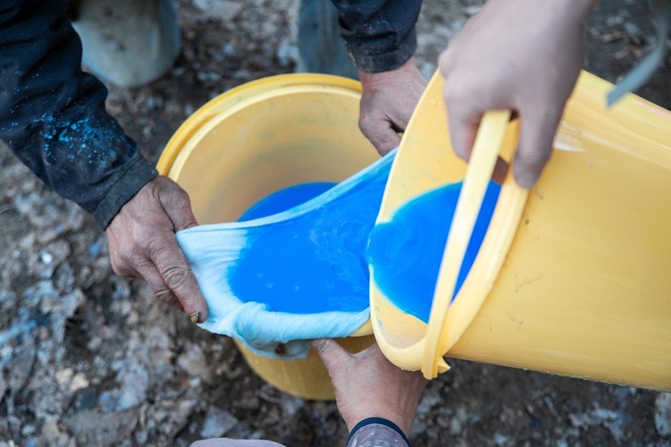 Przepis na ciecz Bordoską: skuteczna walka z chorobami roślin w ogrodzie