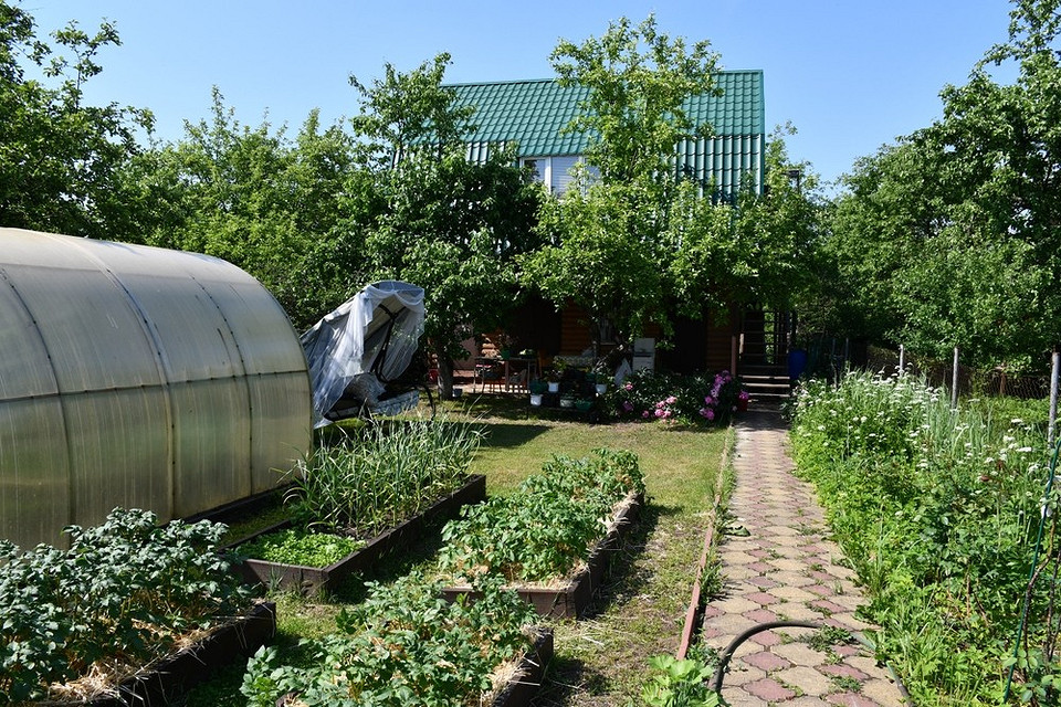 Prace na działce wiosną 2026: Planowanie, sadzenie i pielęgnacja roślin