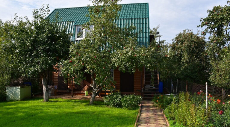 Przygotuj dom na lato: Sprawdzone triki i oszczędne rozwiązania! — Prace na działce wiosną 2026