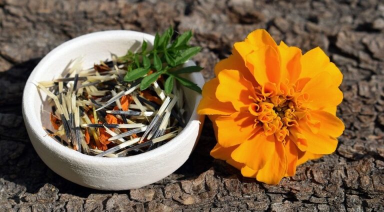 Aksamitki 2026: Jak zebrać nasiona i cieszyć się pięknym ogrodem? — Jak zbierać nasiona aksamitek