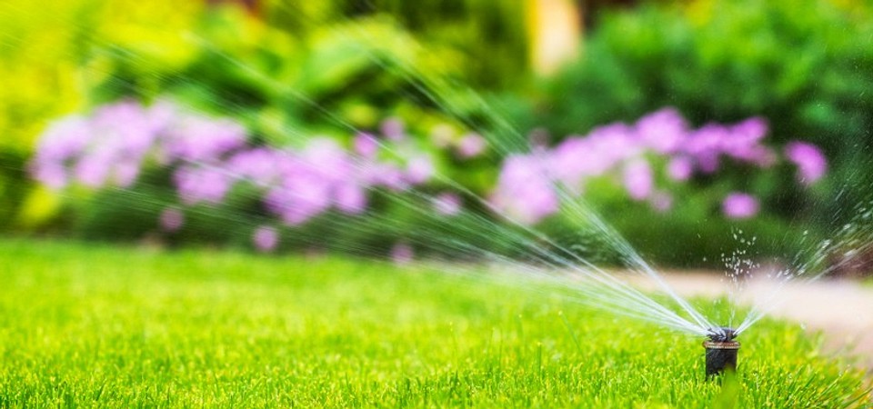 Różne typy zraszaczy ogrodowych zapewniające efektywne nawadnianie w 2026 roku.