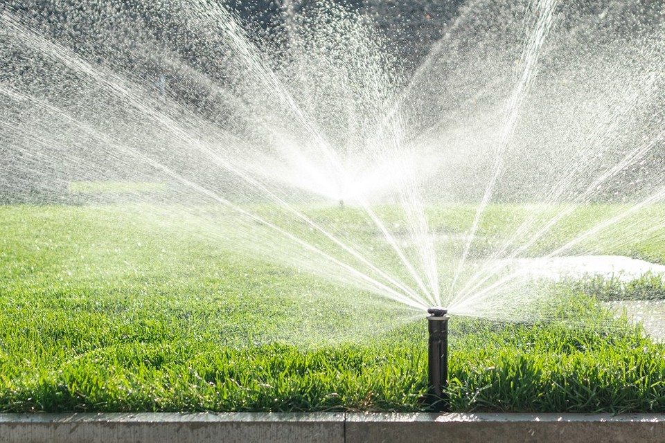 Automatyczny system nawadniania trawnika z nowoczesnymi zraszaczami dla oszczędności wody.