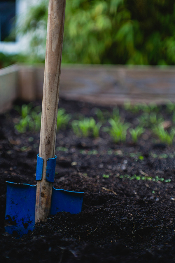 Porównanie ręcznego i mechanicznego przekopywania ogrodu jesienią: który sposób wybrać?