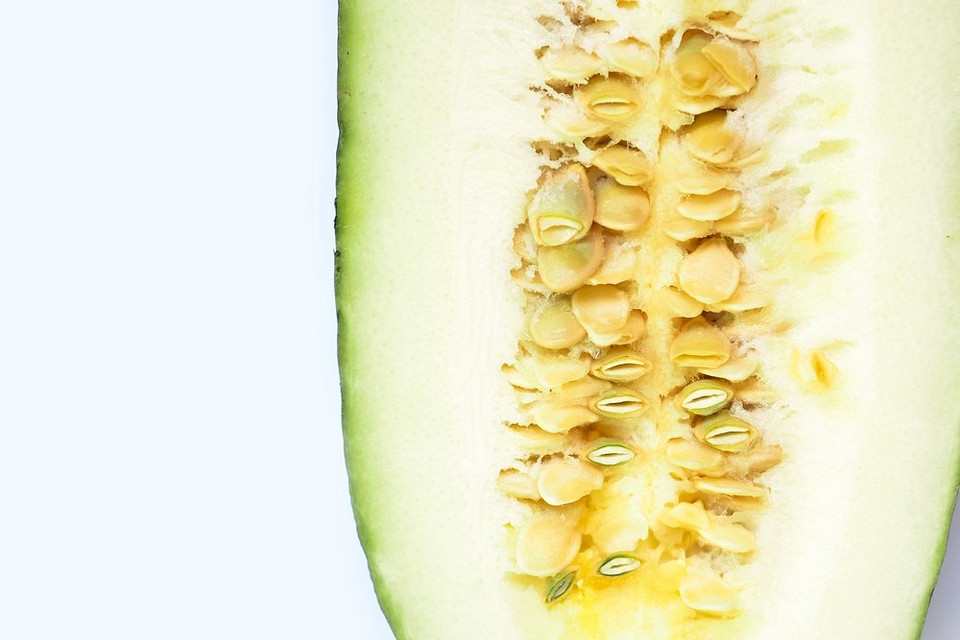 Świeże cukinie zebrane z ogrodu, gotowe do spożycia, porady dotyczące uprawy.