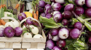 Zbiór cebuli w 2026: Kiedy i jak zbierać obfite plony? — Kiedy zbierać cebulę w Ukrainie 2026