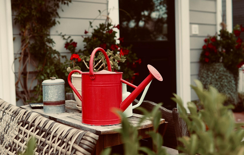 Sierpniowe Rekomendacje Kalendarz księżycowy ogrodnika z rekomendacjami na sierpień 2026: siew warzyw korzeniowych