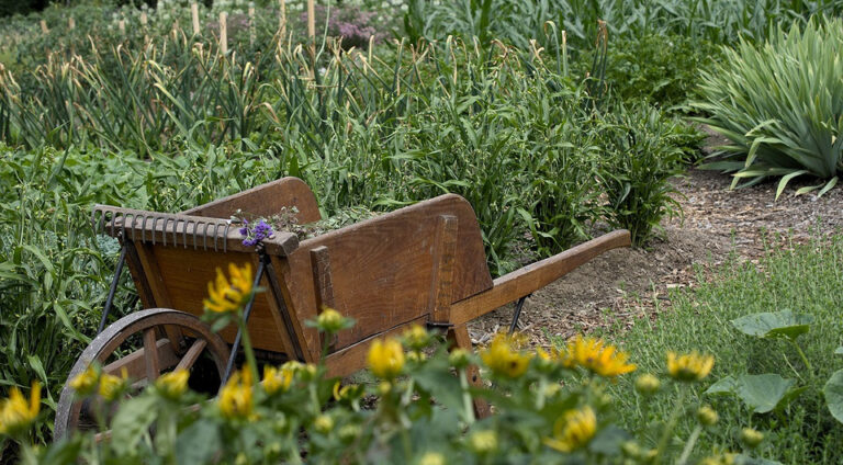 Lipcowy Siew i Sadzenie 2026: Kalendarz Księżycowy dla Obfitych Plonów — kalendarz księżycowy ogrodnika 2026